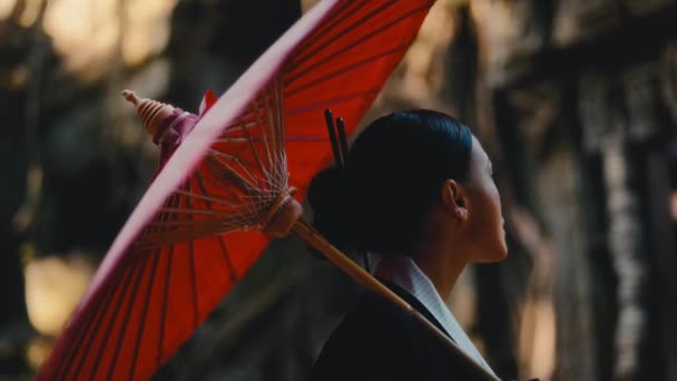 Žena Ozdobená Černým Kimonem Zvýrazněna Zářivým Červeným Deštníkem Jak Potuluje — Stock video