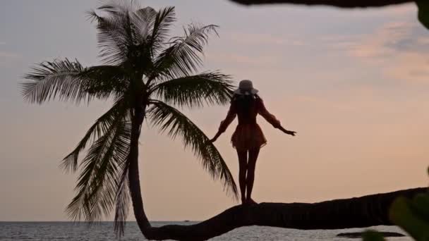 太陽の帽子を寄付する魅惑的な女性は 黄金の時間にヤシの木の上に優雅に立っています — ストック動画
