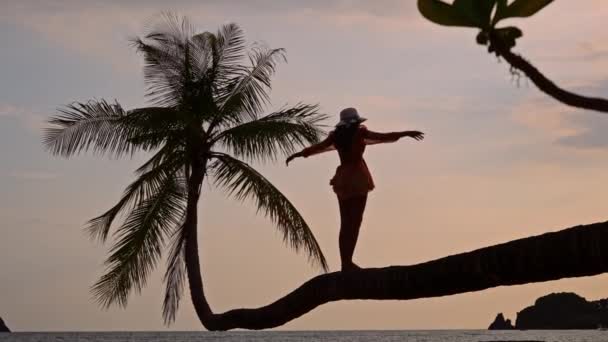 ビーチの息をのむような美しさの中で 女性は曲がったヤシの木の上に優雅に立っており 日没時に腕を伸ばします — ストック動画