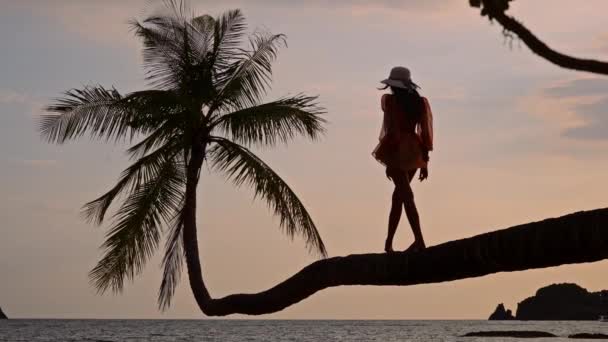 Lämpimän Auringonlaskun Alla Nainen Kävelee Kauniisti Taivutettua Palmua Pitkin Rauhallisella — kuvapankkivideo