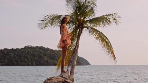 Захватывающий Боковой Снимок Запечатлевает Женщину Стоящую Изящно Изогнутой Пальме — стоковое видео