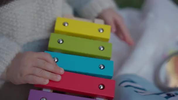 Детальний Вигляд Іграшки Xylophone Крупним Планом — стокове відео