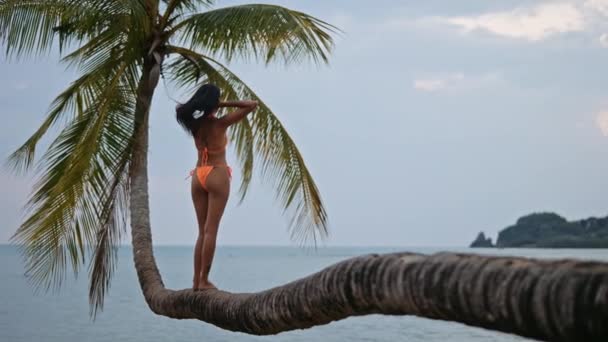 Una Mujer Impresionante Vestida Con Bikini Naranja Dos Piezas Graciosamente — Vídeo de stock
