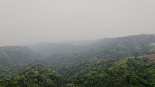 Повітряний Вид Джунглі — стокове відео
