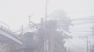 Elektrik direklerine düzgünce bağlanmış bir kablo ağı.