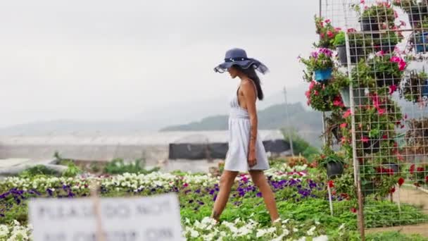 Çiçek Çiftliğinin Huzurlu Kucaklamasında Bir Kadın Çiçek Senfonisiyle Çevrili Aceleci — Stok video