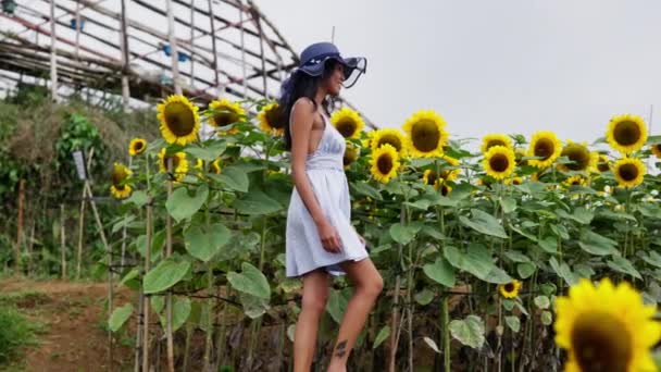 Een Vrouw Maakt Een Ontspannen Wandeling Door Een Prachtig Zonnebloemenveld — Stockvideo