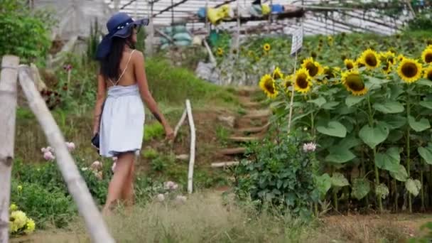 Женщина Спокойно Неторопливо Прогуливающаяся Теплице Погружающаяся Пышную Зелень — стоковое видео