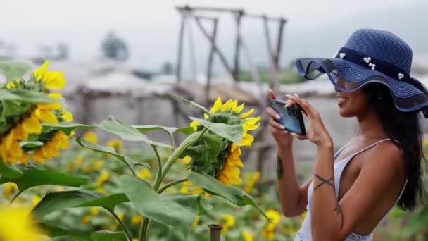 Una Mujer Filmando Ardientemente Los Girasoles Flor Conservando Radiante Belleza — Vídeos de Stock