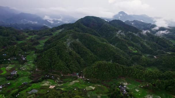 Vördnadsväckande Flygvy Över Ett Skogsklädd Berg Där Naturens Skönhet Visas — Stockvideo