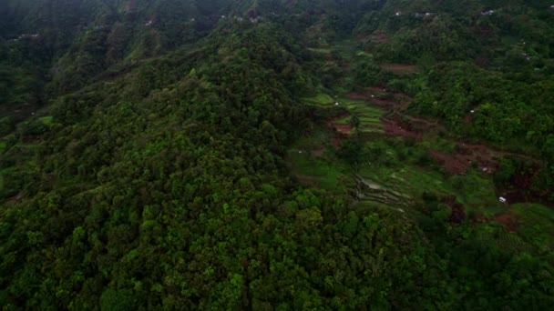 Pirinç Teraslarının Büyüleyici Büyüleyici Güzelliğini Gösteren Inanılmaz Bir Hava Manzarası — Stok video