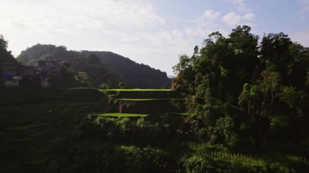 Büyüleyici Drone Görüntüsü Dağlara Oyulmuş Pirinç Teraslarının Nefes Kesici Güzelliğini — Stok video