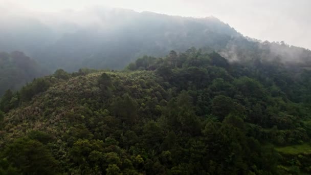 Een Majestueuze Berg Versierd Met Weelderig Groen Een Adembenemend Uitzicht — Stockvideo