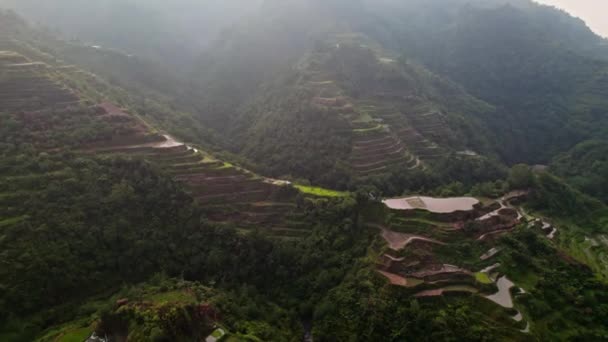 Ein Atemberaubender Anblick Von Reisterrassen Eine Szene Natürlicher Pracht Die — Stockvideo