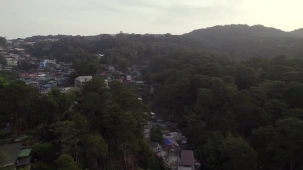 Uma Cidade Abraçada Por Uma Exuberante Extensão Árvores Verdejantes Formando — Vídeo de Stock