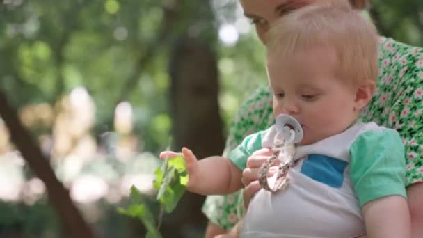 Endearing Baby Interacting Foliage — Stock Video