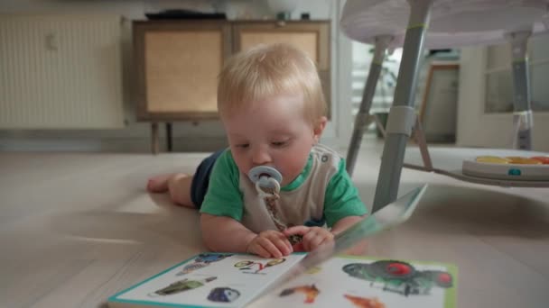 Seorang Bayi Menatap Buku Gambar Untuk Bayi — Stok Video