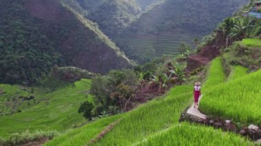 Pirinç tarlalarının ortasında, bir çiftçi ekinlerle ilgilenir, insan yetiştiriciliği ve verimli toprak arasında canlı bir bağlantı..