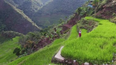 Yerli bir vatandaş pirinç teraslarında zarifçe yürüyor. Toplum ve içinde yaşadıkları karmaşık manzara arasında derin bir bağ kuruyor..