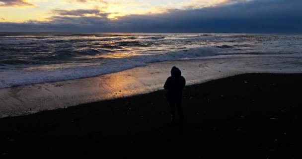Bir Adam Kıyıda Dikiliyor Denize Bakıyor — Stok video