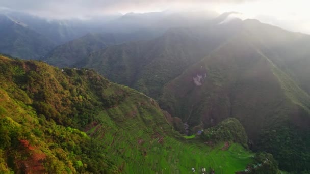 Dağların Ortasında Teraslı Pirinç Tarlaları Insan Yetiştirmenin Manzaranın Engebeli Güzelliğinin — Stok video