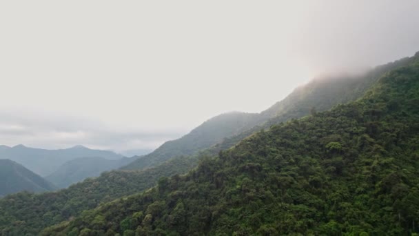 Escena Captura Esencia Entorno Montañoso Retratando Los Majestuosos Picos Exuberantes — Vídeo de stock