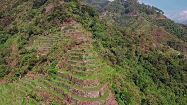 Elevated Mountains Rice Terraces Stand Testament Human Endeavor Transforming Landscape — Stock Video
