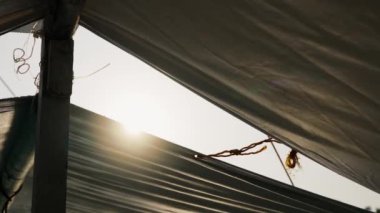 Işıl ışıl güneş benekli gölgelerin arasından bakıyor.