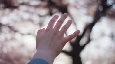 Sıcak güneş ışınları insanın elinde parlıyor..