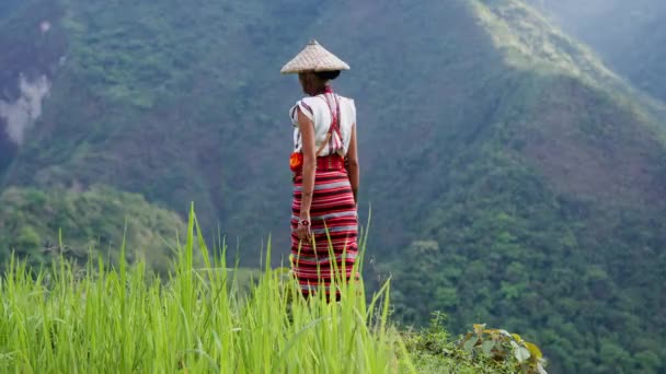 Kvinna Utsmyckad Traditionella Kläder Visar Upp Ett Levande Förkroppsligande Kulturarvet — Stockvideo