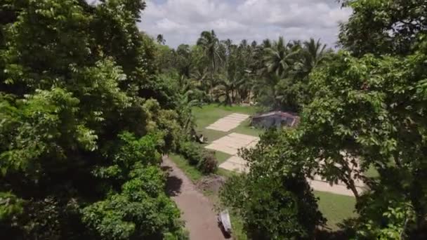Rumah Rumah Petani Terletak Tengah Tengah Tanaman Subur Subur Mana — Stok Video