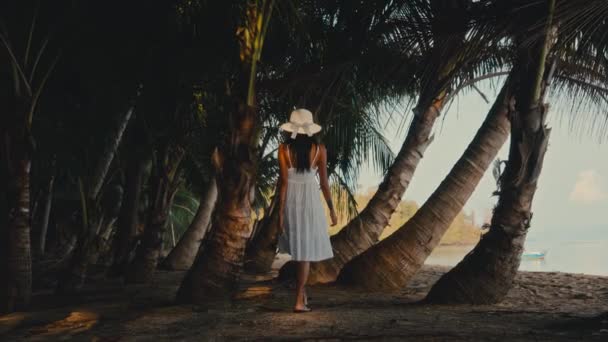 Kobieta Spokojnie Spaceruje Wśród Palm Ozdobiona Złotymi Odcieniami Słońca Wzdłuż — Wideo stockowe