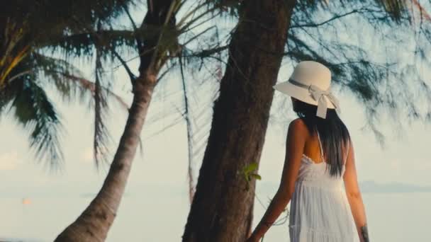 女性は日中 マック島の魅惑的な海岸線を散策します — ストック動画