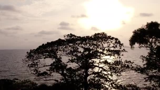 Koh Mak Island의 고요한 일몰의 조용한 아름다움 — 비디오