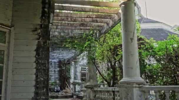 Buja Szőlő Lombozat Diadalmasan Összefonódik Egy Elfeledett Ház Rothadó Beton — Stock videók