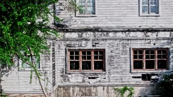 編まれたワインとアイビーは この放棄された住宅の衰退し割れた外壁を受け入れます — ストック動画