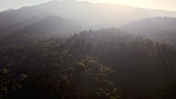 Matahari Pagi Naik Atas Pegunungan Tenang Dan Hutan Tenang Lukisan — Stok Video