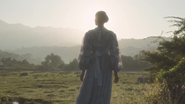 Woman Sheer Dress Stands Grassy Field Her Figure Set Backdrop — Stock Video