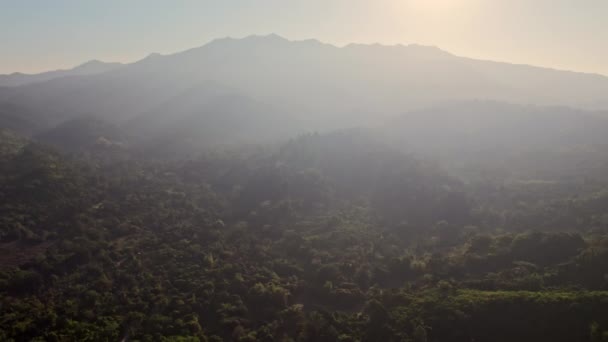 Схід Сонця Яко Покриває Ліс Кидаючи Його Тепле Сяйво Через — стокове відео