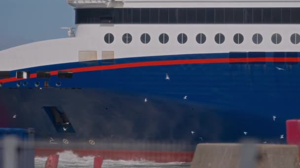 Ferry Parte Graciosamente Porto Hirtshals Acompanhado Por Bando Gaivotas Que — Vídeo de Stock