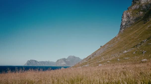 Ogromne Pola Zagnieżdżone Pośród Gór Pod Gradientowym Błękitnym Niebem — Wideo stockowe
