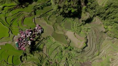 Kırsal evler çiftçilik döngüleri ve yemyeşil, çağlayan tarlalarla iç içe.