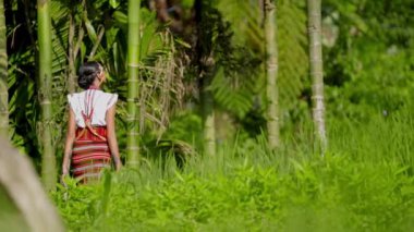 El dokuması elbiseli bir kadın, gün içinde yeşil bambu direklerine yakın yürüyor.