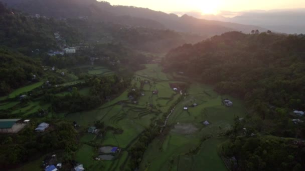 清晨的阳光照亮了稻田和乡村住宅 当太阳升起时 笼罩着一幅风景如画的乡村宁静景象 — 图库视频影像