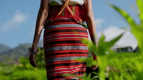 Een Backview Shot Van Een Vrouw Elegant Gekleed Traditionele Handgeweven — Stockvideo