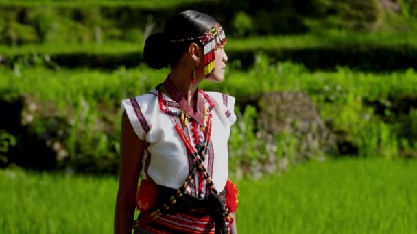 Žena Oblečená Tradičním Oblečení Pomalu Prochází Poli — Stock video