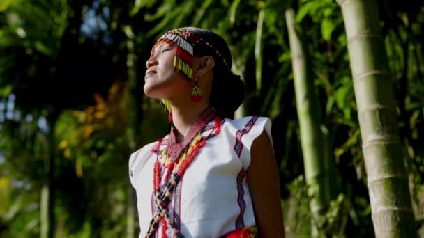 Woman Wearing Beaded Headdress Smiles Radiantly Amidst Beauty Nature — Stock Video