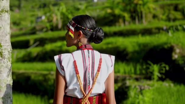 Woman Dressed Traditional Attire Takes Leisurely Stroll Field Daytime — Stock Video
