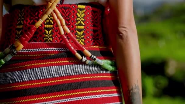 Kvinna Klädd Traditionell Klädsel Tar Lugn Promenad Genom Ett Fält — Stockvideo