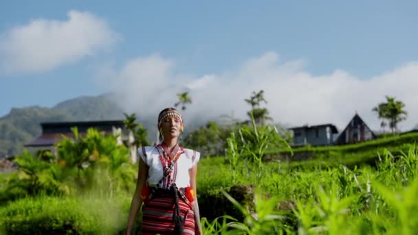 一个穿着传统服装的女人在田里悠闲地散步时找到了快乐 — 图库视频影像